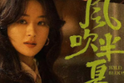 风吹半夏简谱 毛不易-风吹半夏双手简谱