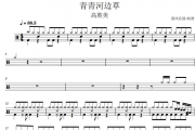 青青河边草鼓谱 高胜美《青青河边草》架子鼓|爵士鼓|鼓谱+动态视频