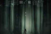 回音吉他谱 余又-回音六线谱C调吉他谱