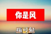 你是风简谱 梅可郁《你是风》简谱+动态视频
