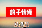 鸽子情缘简谱 刘德华《鸽子情缘》简谱+动态视频