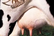 Livin' On The Edge鼓谱 Aerosmith《Livin' On The Edge》架子鼓|爵士鼓|鼓谱