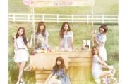 NoNoNo鼓谱 Apink《NoNoNo》架子鼓|爵士鼓|鼓谱+动态视频