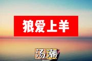 狼爱上羊简谱 汤潮《狼爱上羊》简谱+动态视频