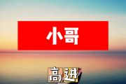 小哥简谱 高进《小哥》简谱+动态视频