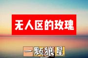 无人区的玫瑰简谱 一颗狼星《无人区的玫瑰》简谱+动态视频