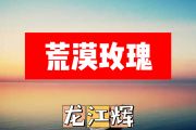 荒漠玫瑰简谱 龙江辉《荒漠玫瑰》简谱+动态视频