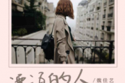漂泊的人鼓谱 魏佳艺《漂泊的人》(烟嗓版)架子鼓|爵士鼓|鼓谱+动态视频