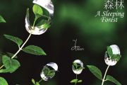 Donde Voy钢琴谱 Daydream《Donde Voy》五线谱|钢琴谱