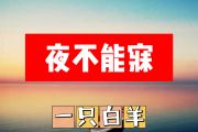 夜不能寐简谱 一只白羊《夜不能寐》简谱+动态视频