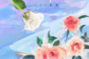 Lil笑笑 3级【八分律动+3套2+八十六填充】 山茶花读不懂白玫瑰(简化改编)架子鼓|爵士鼓|鼓谱+动态视频