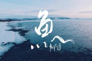 魚鼓谱 怕胖团《魚》架子鼓|爵士鼓|鼓谱+动态视频