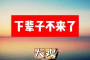 下辈子不来了简谱 大欢《下辈子不来了》简谱+动态视频