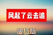 风起了云去追简谱 阿悠悠《风起了云去追》简谱+动态视频