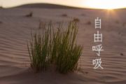 突然想到理想这个词鼓谱 郝云《突然想到理想这个词》架子鼓|爵士鼓|鼓谱 8分音符制谱