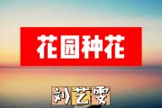 花园种花简谱 刘艺雯《花园种花》简谱+动态视频