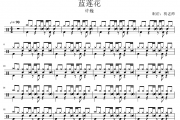 许巍《蓝莲花》架子鼓|爵士鼓|鼓谱 杨老师制谱
