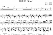 戴佩妮《野蔷薇》(Live)架子鼓|爵士鼓|鼓谱