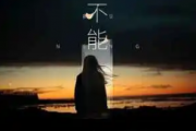 总不能吉他谱 向思思《总不能》六线谱C调指法编吉他谱