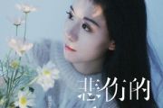 悲伤的爱情吉他谱 任夏《悲伤的爱情》六线谱G调和弦编配吉他谱