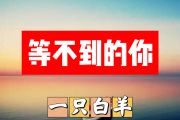 等不到的你简谱 一只白羊《等不到的你》简谱+动态视频