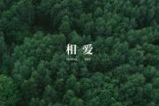 相爱吉他谱  脆莓(Brickleberry)《相爱》G调和弦指法演奏版弹唱谱