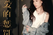 爱的惩罚吉他谱 任夏《爱的惩罚》六线谱G调指法编配吉他谱