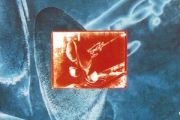 Ticket to Heaven吉他谱 Dire Straits《Ticket to Heaven》六线谱C调吉他谱