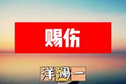 赐伤简谱 洋澜一《赐伤》简谱+动态视频