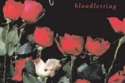 Joey吉他谱 Concrete Blonde《Joey》六线谱G调指法编配吉他谱