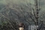 关不上的窗吉他谱 周传雄《关不上的窗》(精编版)六线谱|吉他谱C调指法编配