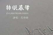 转眼暮年吉他谱 恋特特《转眼暮年》六线谱C调指法编配吉他谱
