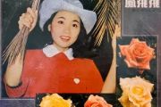 玫瑰玫瑰我爱你吉他谱 凤飞飞《玫瑰玫瑰我爱你》六线谱G调指法编配吉他谱