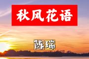 秋风花语简谱 陈瑞《秋风花语》简谱+动态视频