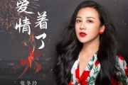 张冬玲-爱情着了火六线谱C调吉他谱