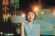 丝丝小雨吉他谱 邓丽君《丝丝小雨》六线谱G调指法编配吉他谱