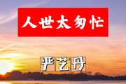 人世太匆忙简谱 严艺丹《人世太匆忙》简谱+动态视频