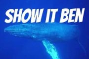 Show it Ben鼓谱 大川Dietry-Show it Ben爵士鼓|鼓谱