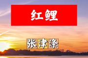 红鲤简谱 张津涤《红鲤》简谱+动态视频降A调