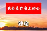 我若是你肩上的云简谱 钟瑜《我若是你肩上的云》简谱+动态视频