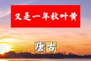 又是一年秋叶黄简谱 唐古《又是一年秋叶黄》简谱+动态视频