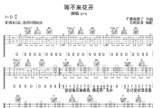 等不来花开吉他谱 pro等不来花开六线谱 无限延音制谱