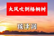 大风吹倒梧桐树简谱 侯泽润-大风吹倒梧桐树简谱+动态视频降B调