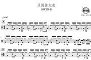 只因你太美鼓谱 SWIN-S-只因你太美爵士鼓谱 鼓行家制谱