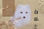 白狐鼓谱 小阿枫《白狐》架子鼓爵士鼓谱 大齐制谱