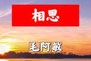 相思简谱 毛阿敏-相思简谱+动态视频C调