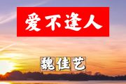 爱不逢人简谱 魏佳艺《爱不逢人》简谱+动态视频降A调