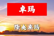 卓玛简谱 降央卓玛-卓玛简谱+动态视频F调