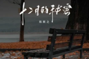 十二月的秘密吉他谱 陈默之-十二月的秘密G调指法编配弹唱谱
