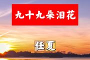 九十九朵泪花简谱 任夏《九十九朵泪花》简谱+动态视频A调